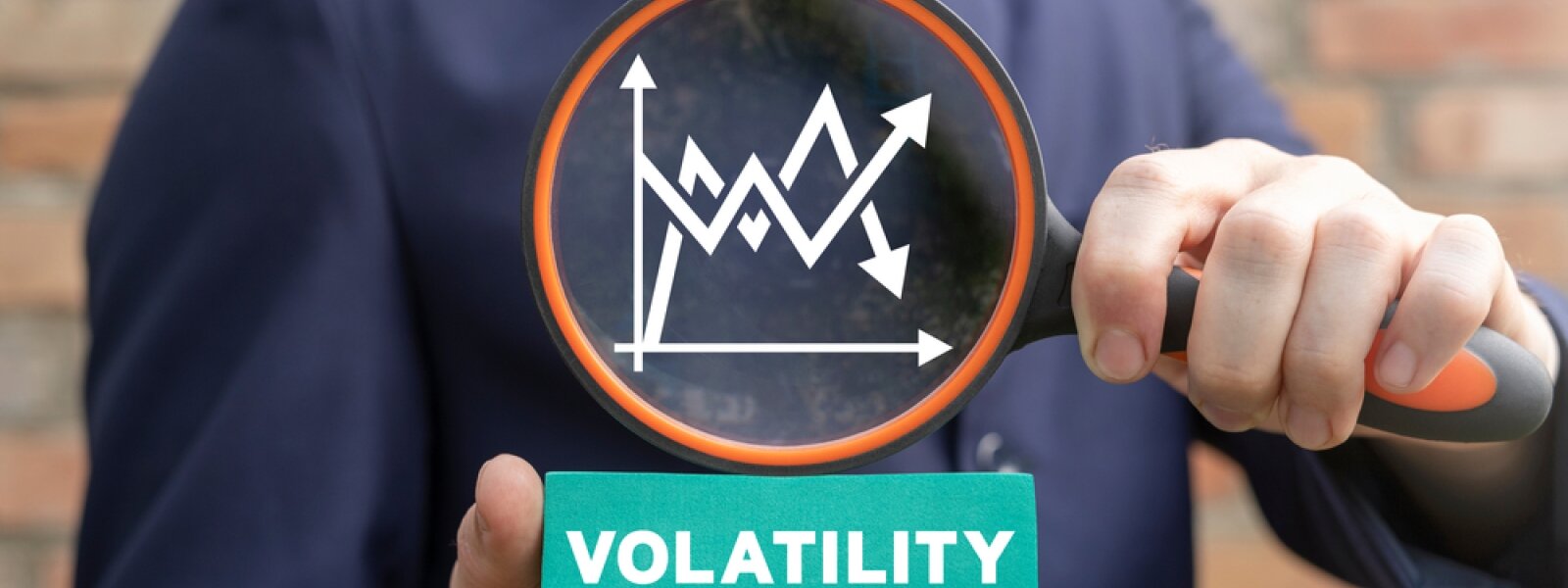 Volatility of the market : what an investor should know